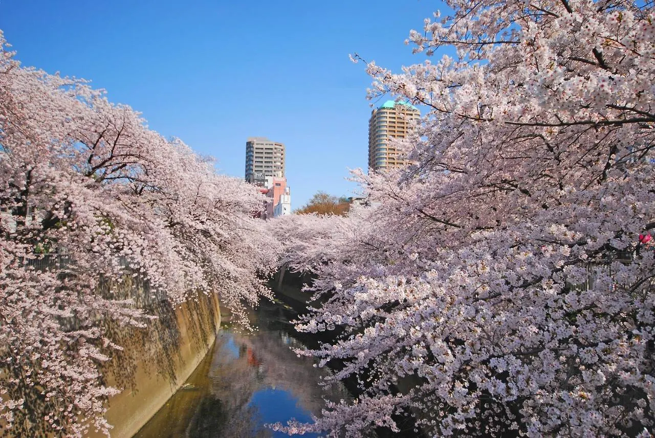 Sotetsu Fresa Inn Tokyo Kanda 3*,  Japan