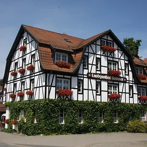 Sommer , Lautertal (Bavaria) Deutschland